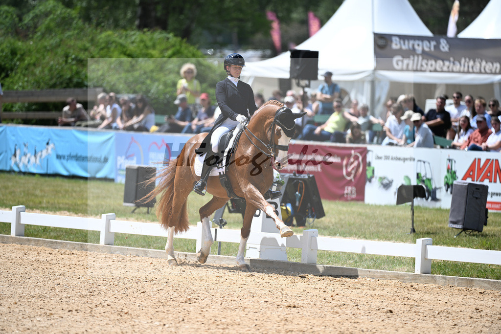 Harsdorf_Daydream d Arion_11252885 | hf-fotografie - Realisiert mit Pictrs.com