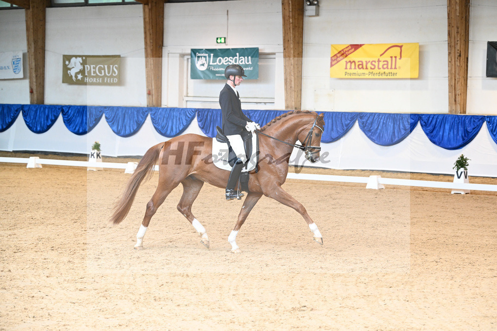 Kat-Nr. 66 Falcon Crest_Freund_14240846 | hf-fotografie - Realisiert mit Pictrs.com