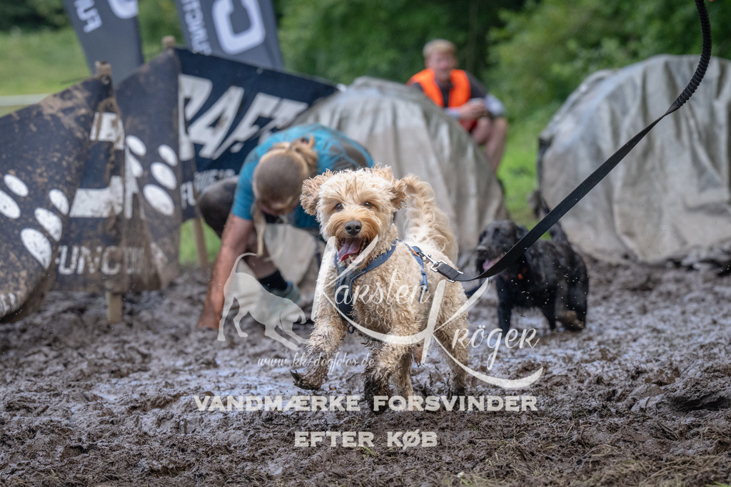 1625_ZZ93179 | kk-dogfotos