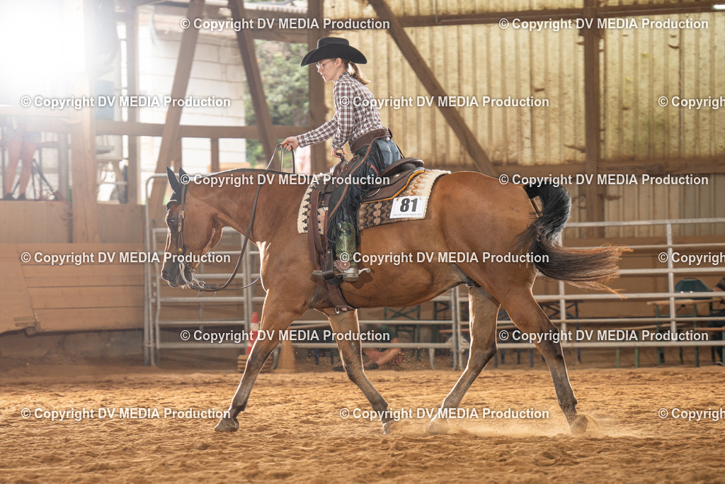 NID01653 | dv-media-shop - Realisiert mit Pictrs.com