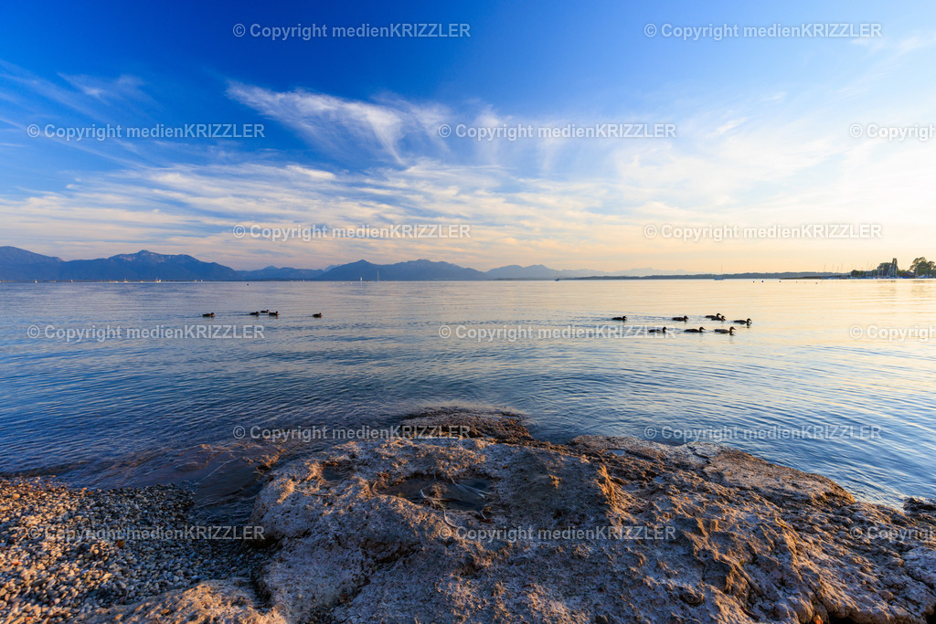 _J3A8441 | medienkrizzler - Realisiert mit Pictrs.com