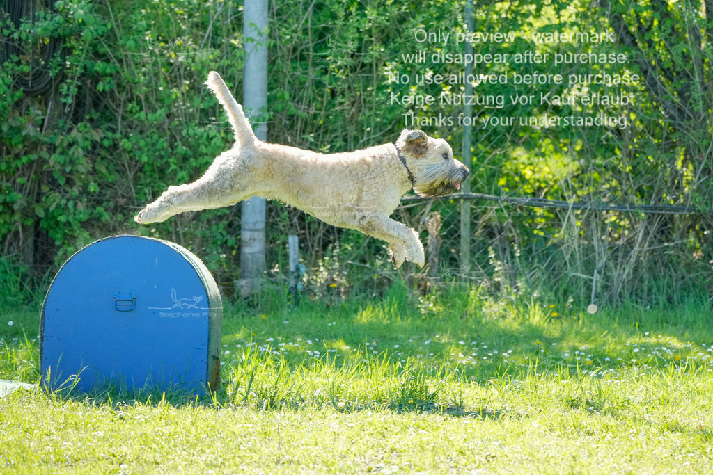 Sa_VK3_03-55 | stephaniefillaphotographie - Realisiert mit Pictrs.com