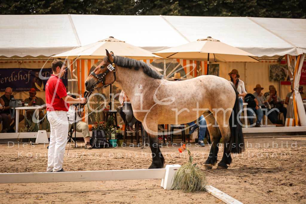 3.Sa00067 | Leoni Ertmer Photography - Realisiert mit Pictrs.com