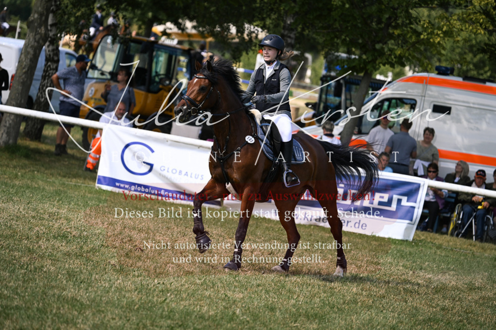 DSC_0513 | Pferde- und Turnierfotografie in Westsachsen. Pferdeportraits, Auftragszeichnungen und intuitive Kunst.