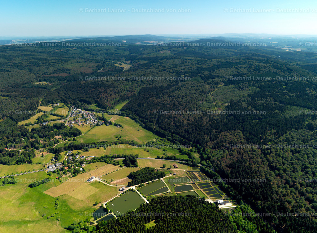 Nationalpark-Hunsrück-Hochwald-Fischteiche-Boerfink-3111586 | Nationalpark-Hunsrück-Hochwald-Fischteiche-Boerfink