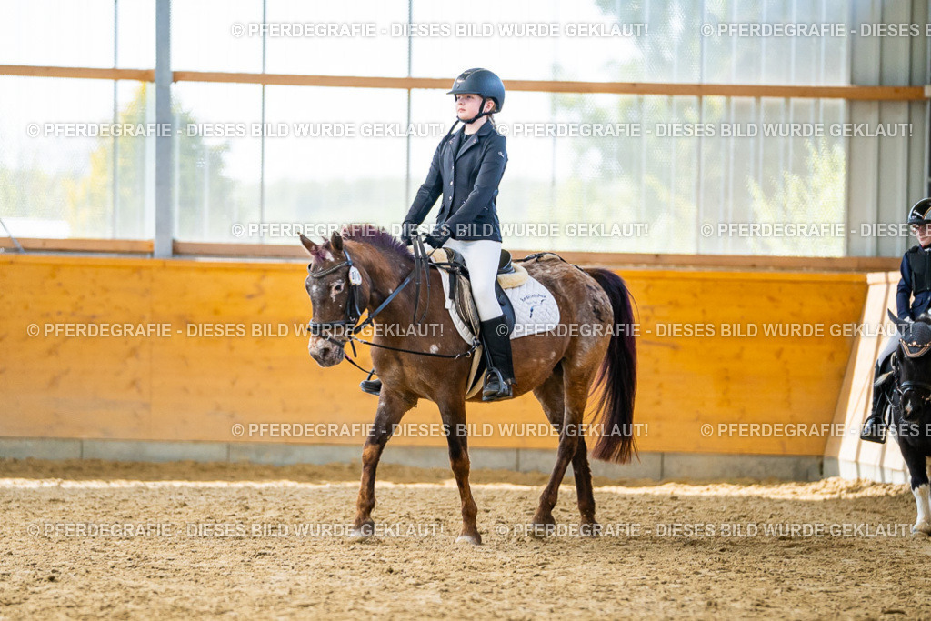 DSC01348 | Pferdegrafie