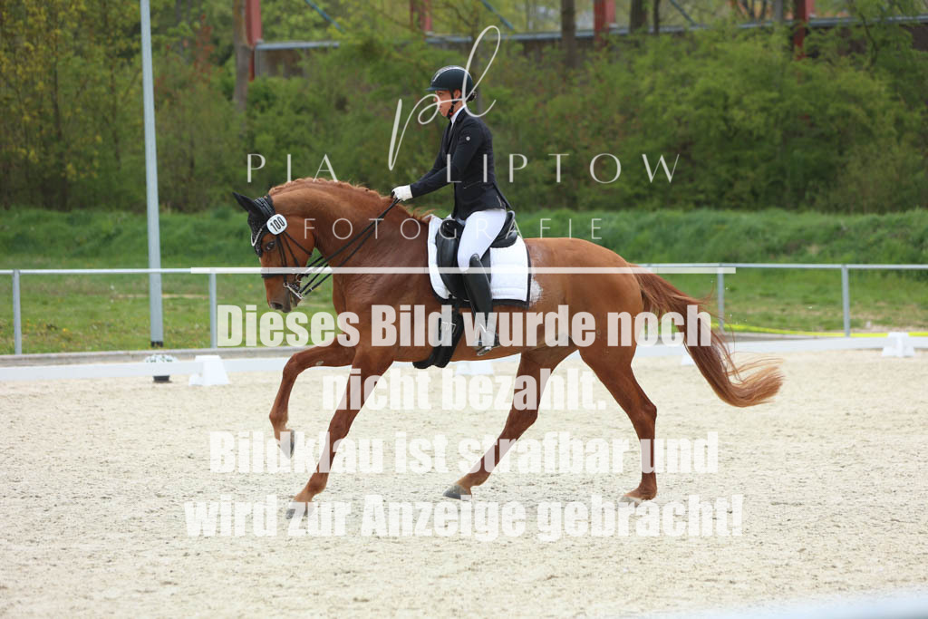 IMGM7825 | pl-fotografie
