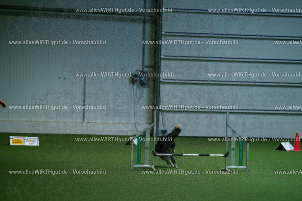 7R502756 | Professionelle Tierfotografie in Mönchengladbach von Daniel Wirth (allesWIRTHgut). Liebevolle & natürliche Bilder von Hunden & Katzen für unvergessliche Erinnerungen.