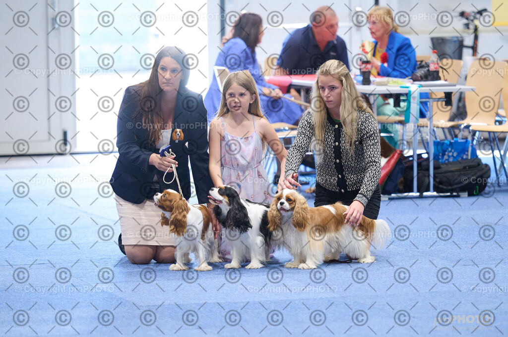 202406_ÖKV-IHA-Tulln24_DSC_2829 | proPHOTO - Realisiert mit Pictrs.com