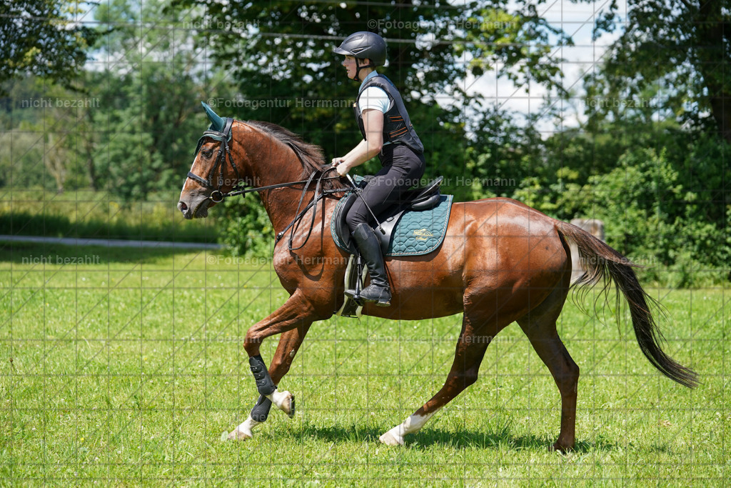 20240622-FAH06912 | Turnierfotografen Bayern, Reitsportbilder aus dem Geländekurs mit Felix Etzel auf dem Gut Waitzacker 2024