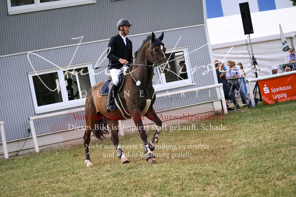 DSC_0841 | Pferde- und Turnierfotografie in Westsachsen. Pferdeportraits, Auftragszeichnungen und intuitive Kunst.