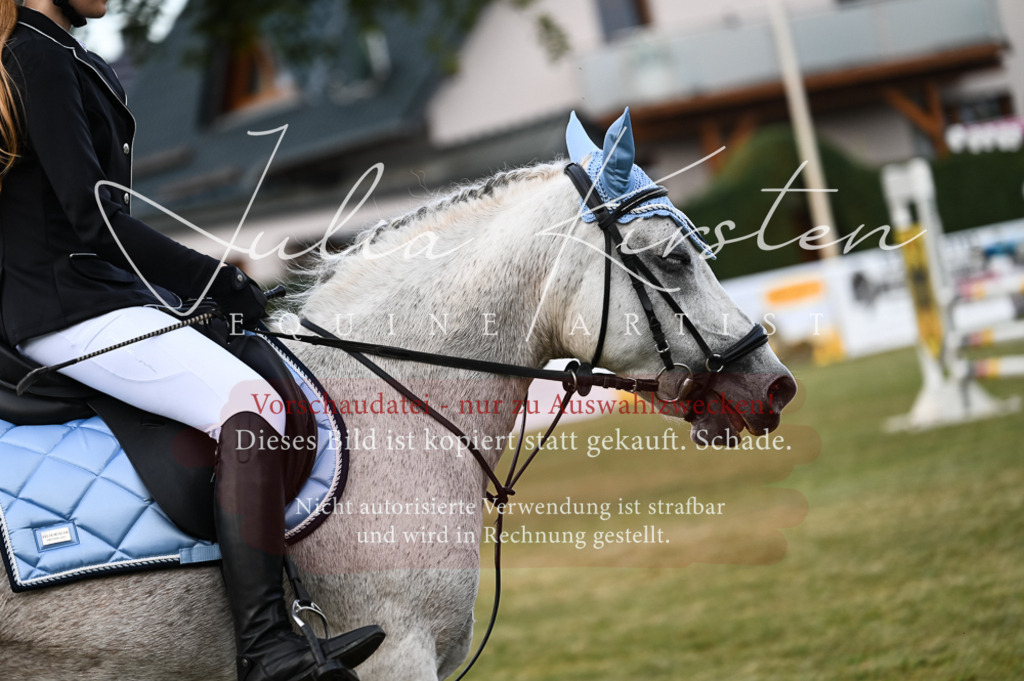 DSC_5538 | Pferde- und Turnierfotografie in Westsachsen. Pferdeportraits, Auftragszeichnungen und intuitive Kunst.