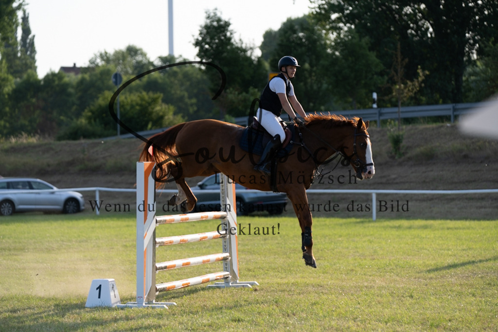 A7V01052 | Pferdefotograf