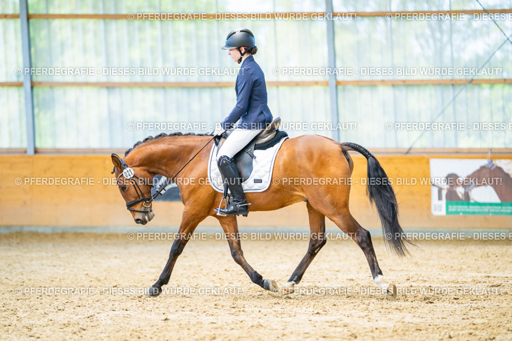 DSC07981 | Pferdegrafie