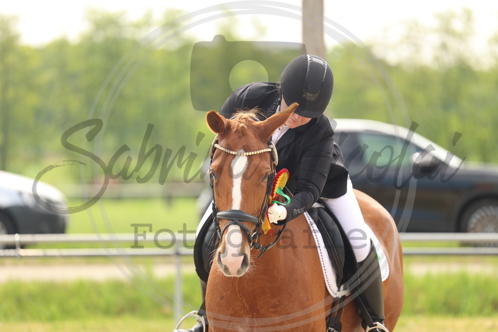 994A7004 | sabrinanicolaifotografie - Realisiert mit Pictrs.com