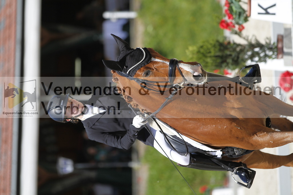 _MG_4634 | equestrian-live-com