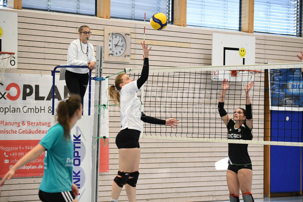 TSV Deggendorf Damen : Wilde Wespen Steinach | TSV Deggendorf Damen : Wilde Wespen Steinach - Realisiert mit Pictrs.com