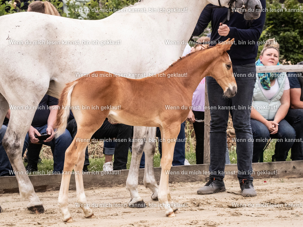 A10I9532 | photographylinaismer - Realisiert mit Pictrs.com