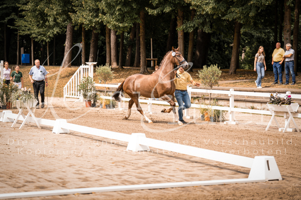 4.Fr00050 | Leoni Ertmer Photography - Realisiert mit Pictrs.com