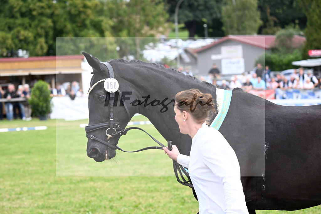 Kat-Nr. 50 Poetin v. Sarkozy_Galneder_30251196 | hf-fotografie - Realizzato con Pictrs.com