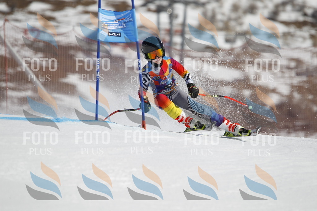 _U3G9145 | holidayphoto