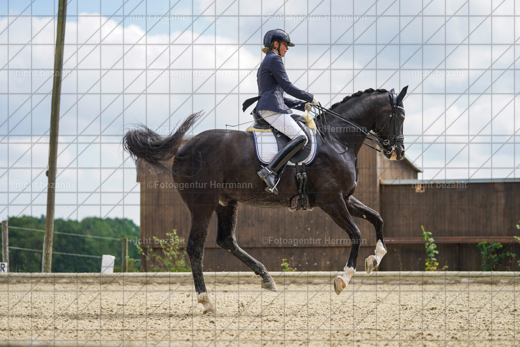 20230826-FAH05842 | Forstinning, 2023, Dressurturnier, Turniersportbilder, Turnierfotografen Bayern, Fotoagentur Herrmann, Reitsportfotografie, Turnierbilder