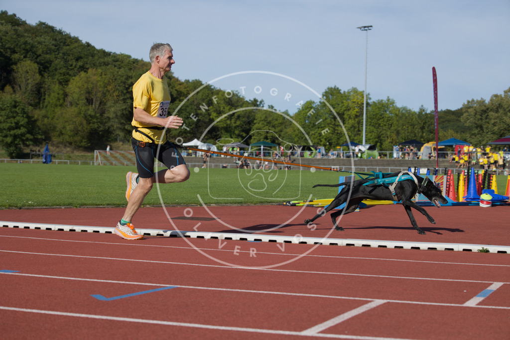 0L8A0005 | Hundefotografie, Tierfotograf, Pfotenfotografie, Fotoshooting Hund, Hunde Portrait, Hundesport, Hundeportraits, Heideshooting, Hunde, Sportfotograf, Hundefotograf, Turnierhundsport, THS,  - Realisiert mit Pictrs.com