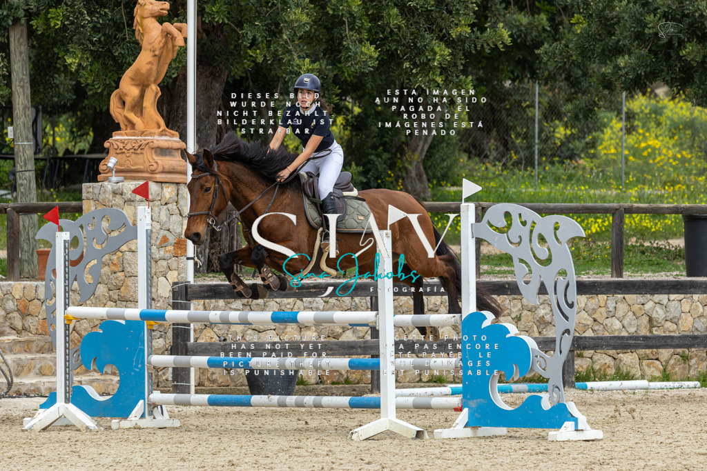 IMG_4829 | s-jay-photography - Realisiert mit Pictrs.com