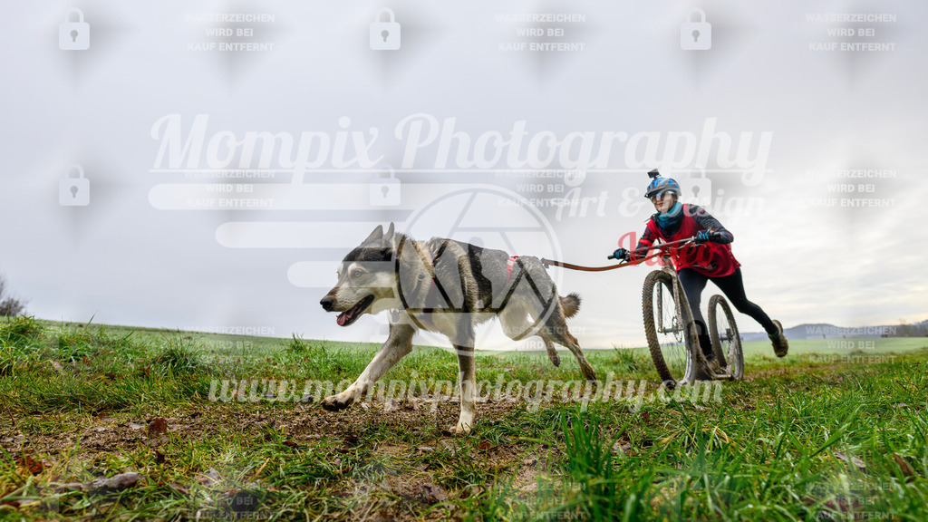 MompixPhotography_Staufertrail2024_SO_DS1-26 | PayLife