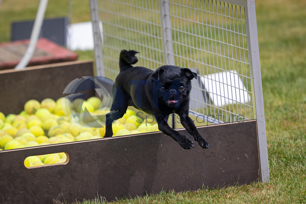 TP-20240815-0091 | Copyright: Trainproduction / Matthias Trinkl