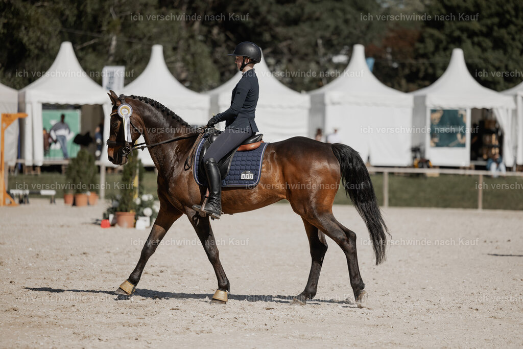 _AM27810 | working equitationturnier fotograf videograf stoibphotography marixx film working equitation deutschland reitsport turnierfotografie eventfotografie equestrian events