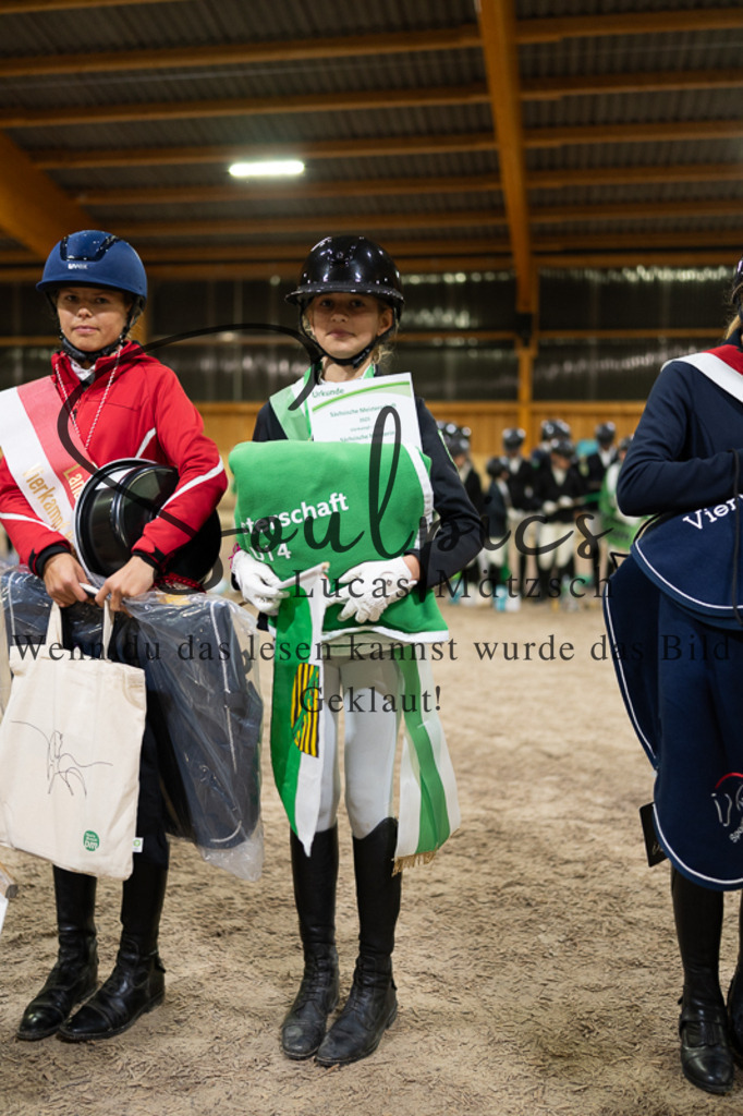 A7V03540 | Pferdefotograf