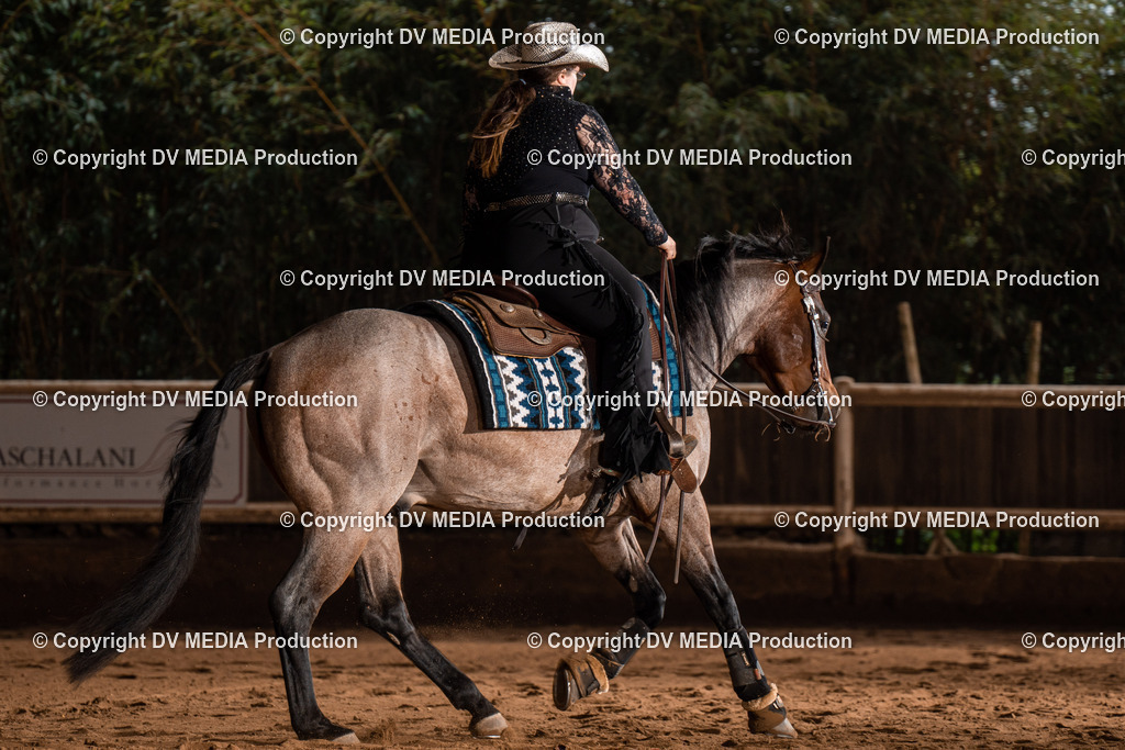 Erbach Tag 2-930 | dv-media-shop - Realisiert mit Pictrs.com