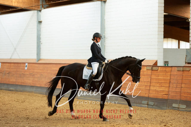 _62_6867 | Turniersportfotografie; Pferdefotografie; Dressurfotografie