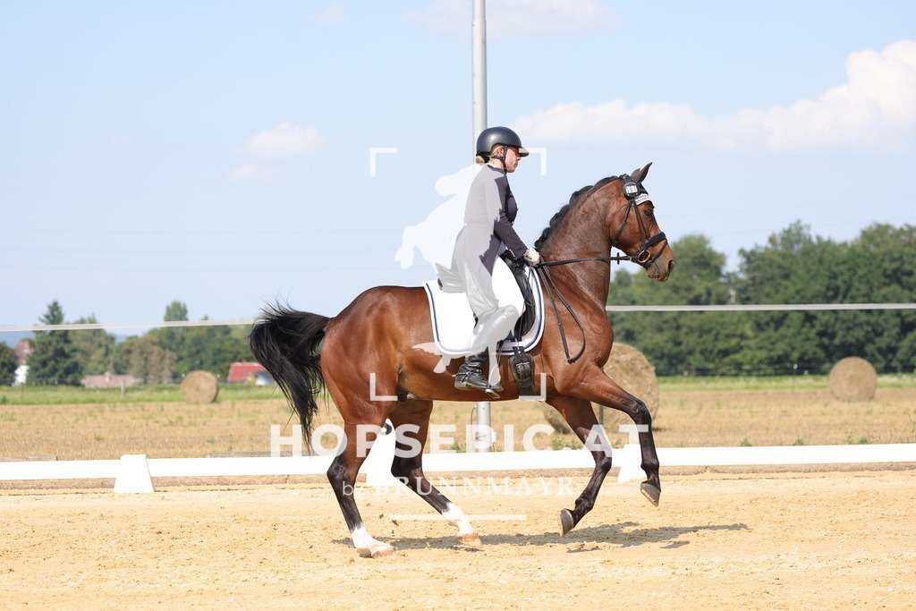 0P6A7905 | Willkommen bei Brunnmayr - Design & Fotografie – Ihrem Spezialisten für Reitturniere und Pferdeveranstaltungen in Oberösterreich, Salzburg und Bayern! Seit über 17 Jahren sind wir leidenschaftlich dabei.