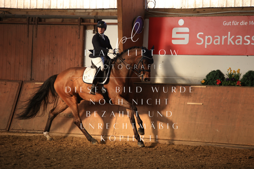 IMGT0881 | pl-fotografie