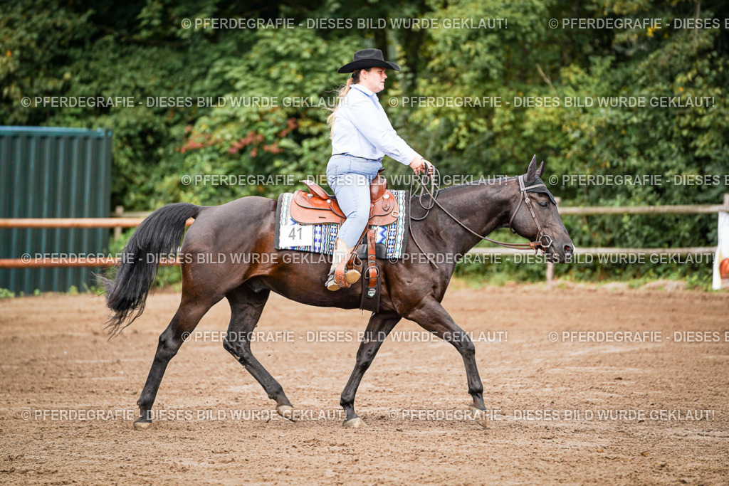 DSC06398 | Pferdegrafie