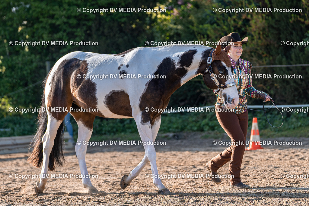 Balingen Tag 4-61 | dv-media-shop - Realisiert mit Pictrs.com