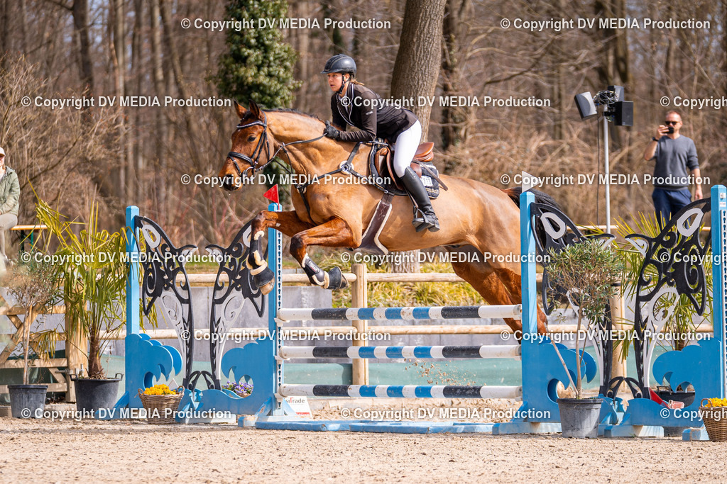 Kranichstein Tag 1-604 | dv-media-shop - Realisiert mit Pictrs.com