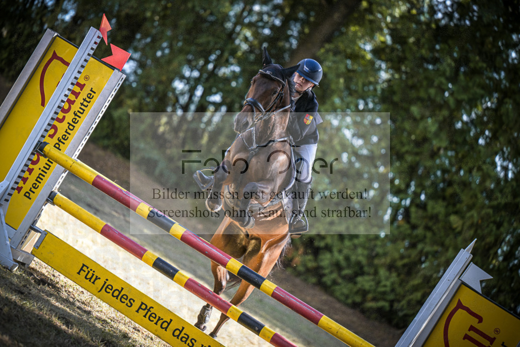 DOS_1334 | Entdecke hochwertige Reitturnierfotos von Foto Oger. Professionell, emotional und authentisch – jetzt Lieblingsmomente im Shop bestellen.Deutschlandweite Turnierfotografie. - Realisiert mit Pictrs.com