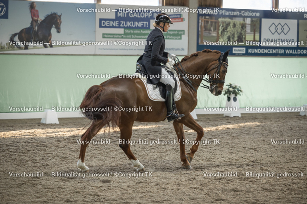 _D5A0604 | Emotionale Pferde- & People-Fotografie rund um Heidelberg, Leimen & Umgebung. Natürliche Fotos von Pferd, Mensch & Familie. Jetzt Termin sichern!