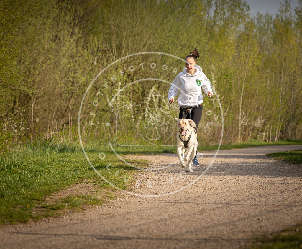 Pfotenfotografie_DV3A4547 | Hundefotografie, Tierfotograf, Pfotenfotografie, Fotoshooting Hund, Hunde Portrait, Hundesport, Hundeportraits, Heideshooting, Hunde, Sportfotograf, Hundefotograf, Turnierhundsport, THS,  - Realisiert mit Pictrs.com