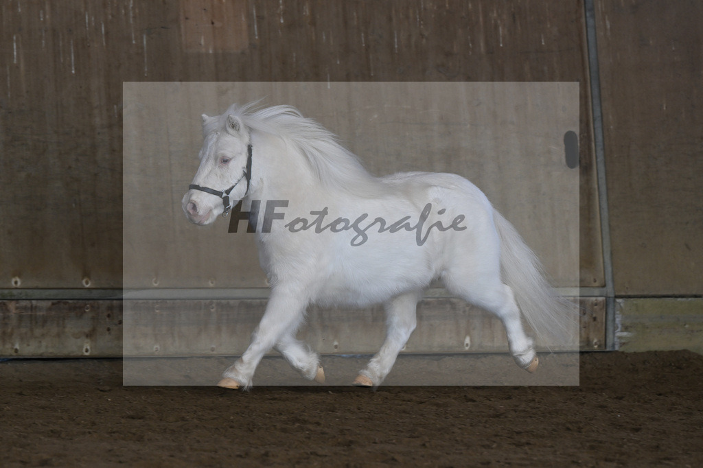 Kat-Nr. 14 Elmhorst Irish Cream v. Elmhorst Irish Coffee_Elmer_49250622 | hf-fotografie - Realisiert mit Pictrs.com