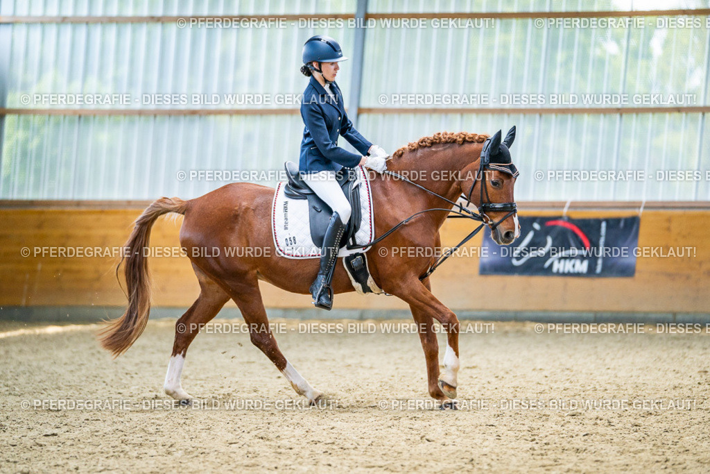 DSC04625 | Pferdegrafie