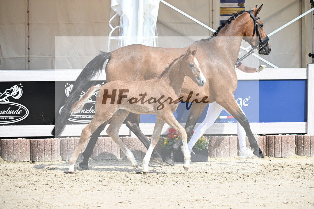 Arezzo Man x Zinedream_HF_Lohmiller_12250409 | hf-fotografie - Realisiert mit Pictrs.com