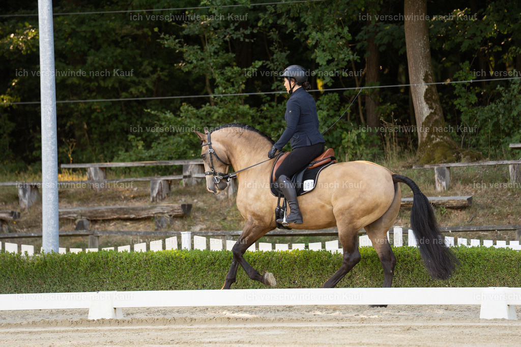 WA_DR_93_SinaFilmArt_IN09871 | working equitationturnier fotograf videograf stoibphotography marixx film working equitation deutschland reitsport turnierfotografie eventfotografie equestrian events