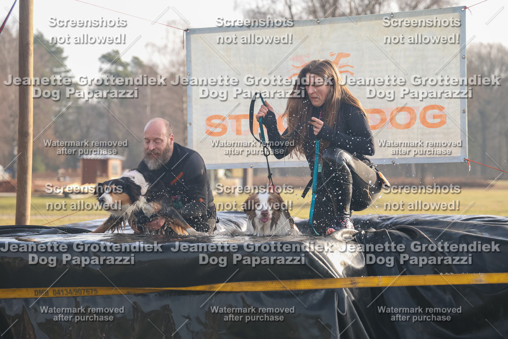 Dog Paparazzi - SD North 0326 900930-149 | Dog Paparazzi Jeanette Grottendiek Fotografie & Videografie - Realisiert mit Pictrs.com