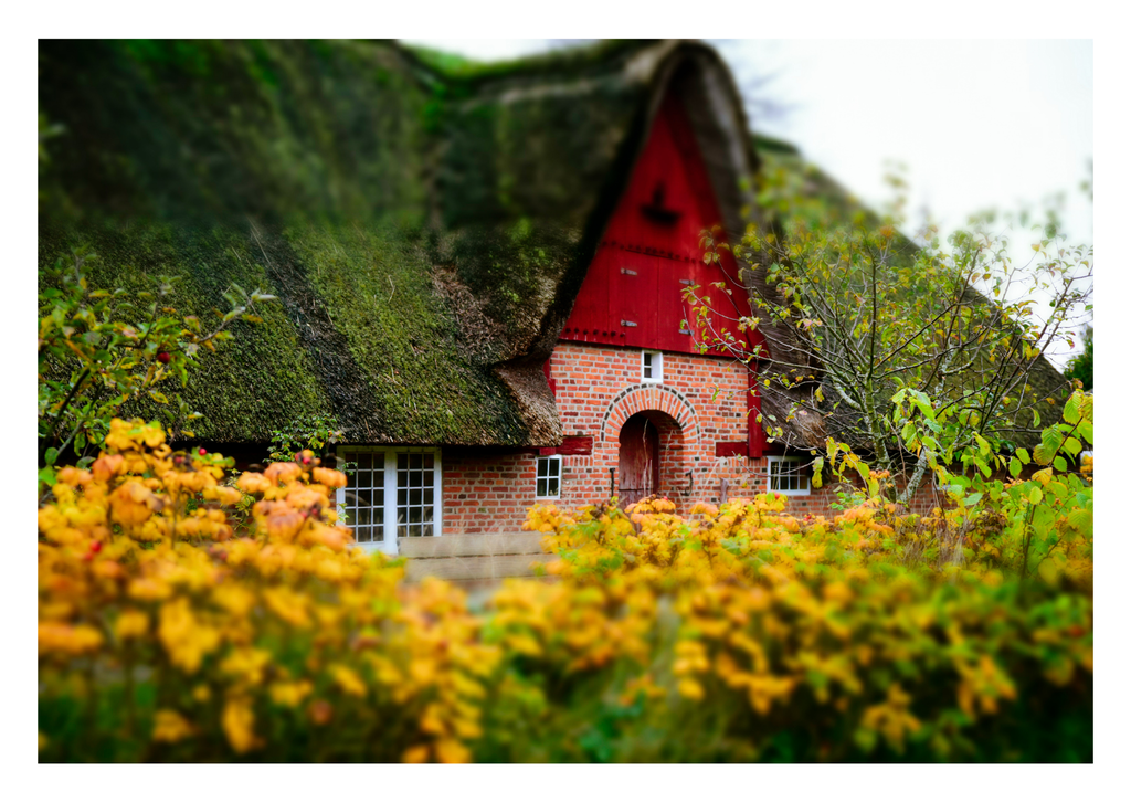 Motiv 17 | Eilun-Art-Fotografie Levke Martens, ihre Fotografin für Immobilien- und Landschaftsfotografie auf Föhr, Föhrer Motive als Poster, Leinwand, hinter Acrylglas oder stelle dir deinen eigenen Monatskalender zusammen, mit nur einem Klick