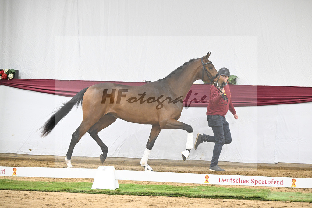 Kat-Nr. 43 Va Pensiero x Secret_Philipp Stuppert_47251494 | hf-fotografie - Realisiert mit Pictrs.com