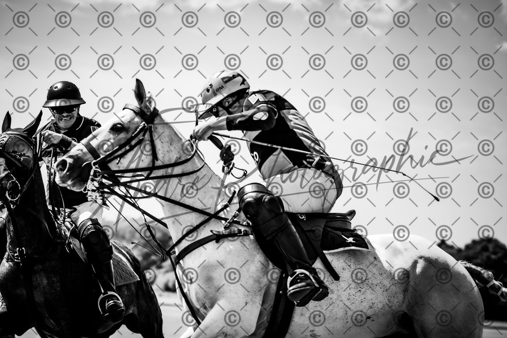 POL_2190-2 | andre_photographic